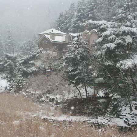 Mir Pension Gapyeong Luaran gambar
