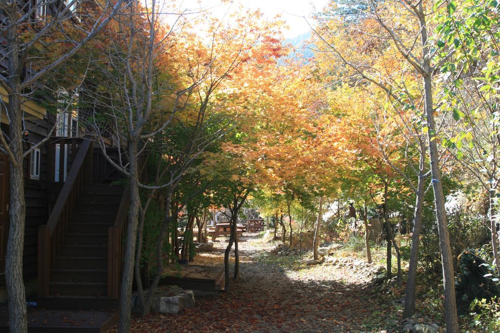Mir Pension Gapyeong Luaran gambar