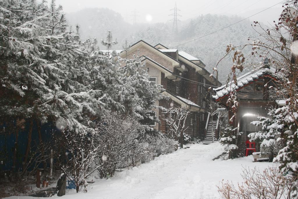 Mir Pension Gapyeong Luaran gambar